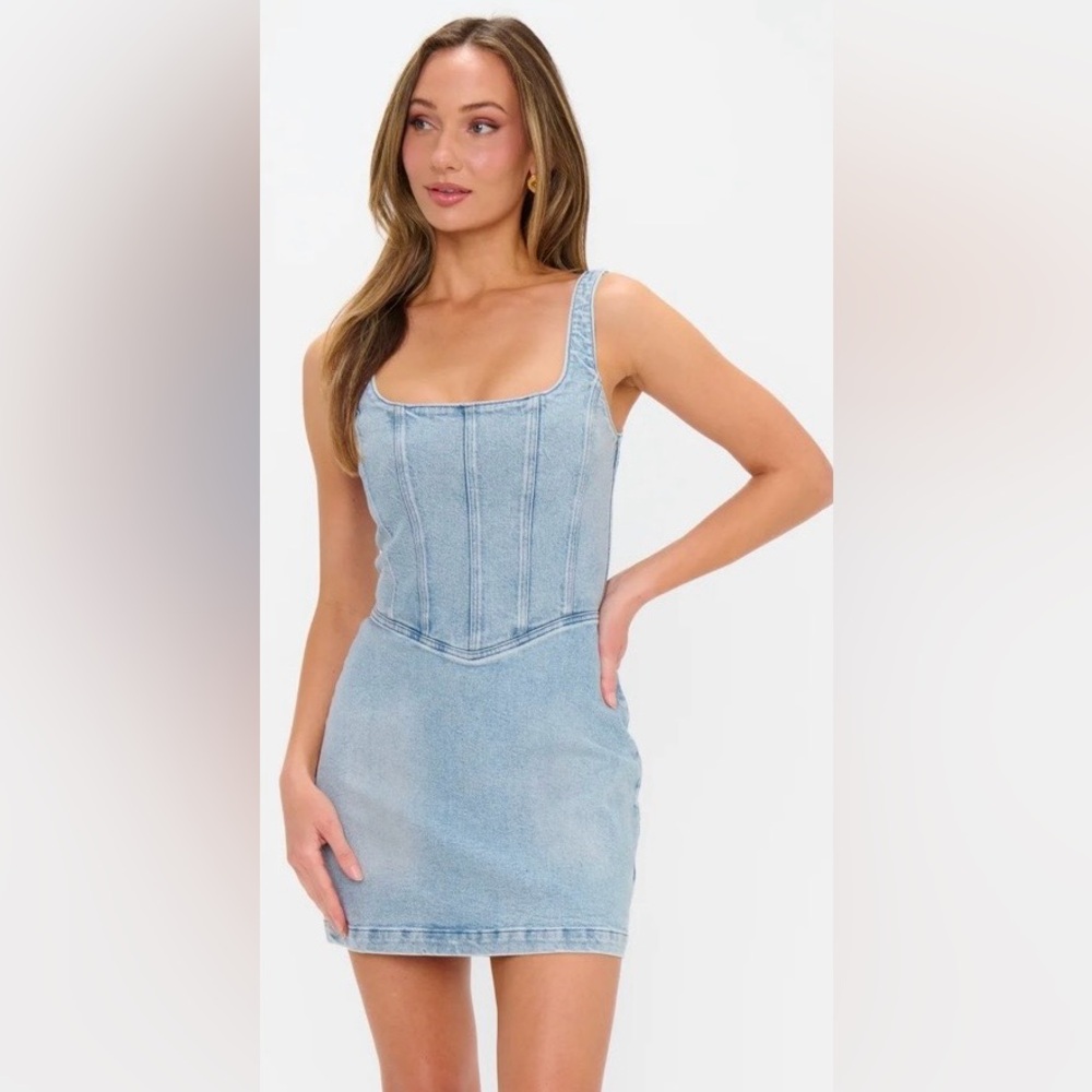 Show Me Your MuMu Corset Mini Dress